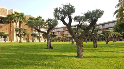 Zahrada ubytování Apartamentos Herdade dos Salgados - Vila das Lagoas