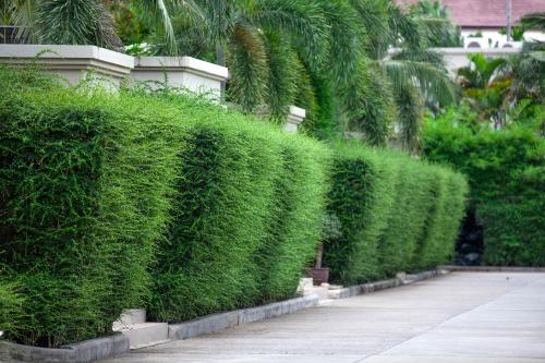 Κήπος έξω από το The Residence Resort