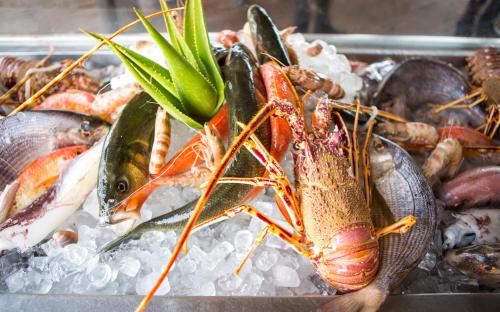 a tray of shrimp and other seafood on ice at Africa Jade Thalasso in Korba