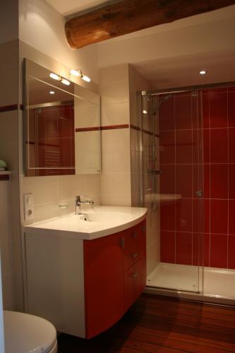 a bathroom with a sink and a shower at Maison d'hotes Sainte Genevieve in Sainte-Geneviève