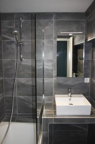 une salle de bain avec un lavabo et une douche dans l'établissement Appartement Champé, à Metz