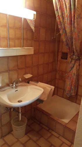 a bathroom with a sink and a toilet at Junser Gasthausl in Tux