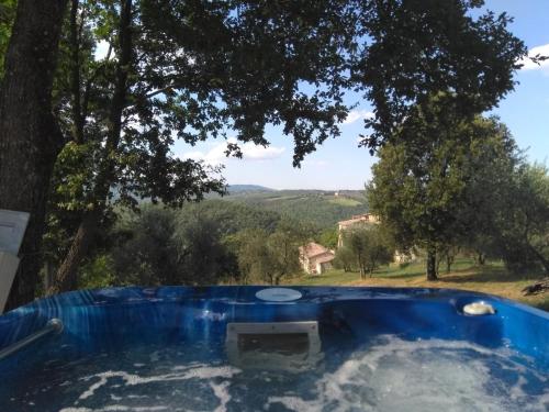uma banheira de hidromassagem com vista para uma árvore em Borgo Carpineto em Vagliagli