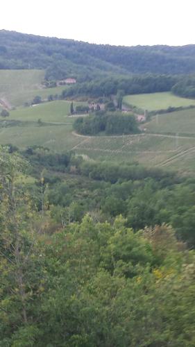 a view of a green field with trees at Borgo Carpineto in Vagliagli