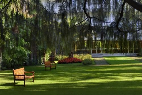 two benches sitting in a park under a tree at Du Lac Et Du Parc Grand Resort in Riva del Garda