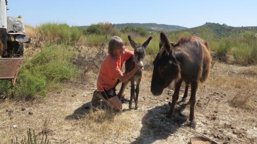 a boy is petting a donkey on a field at Fattoria Armonia in Stilo