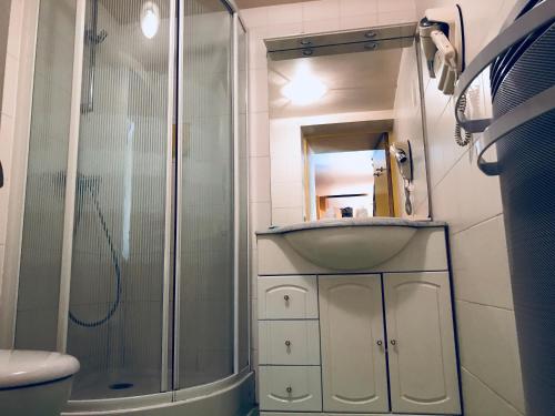 ein Bad mit einem Waschbecken und einer Dusche in der Unterkunft Chez Michel in Bedous