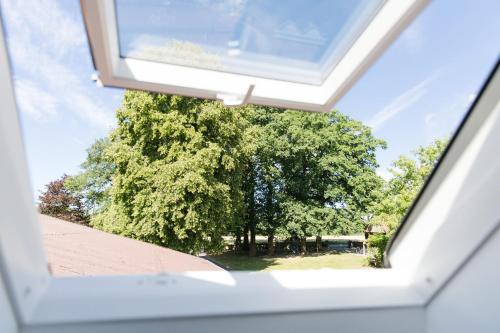 a view from a window of a tree at Brüngers Landhaus in Rödinghausen