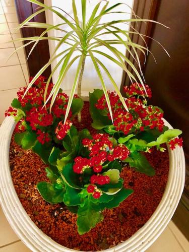 Hotel-Marks-Garni photo 36