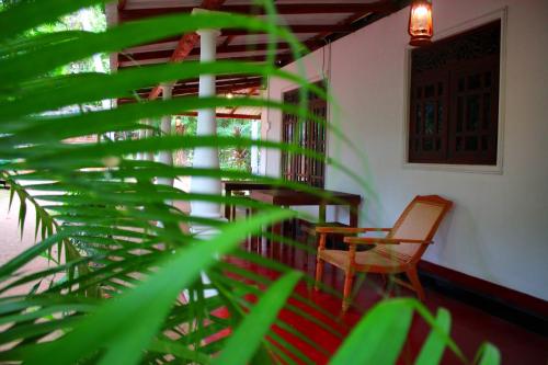 a room with a staircase with a chair and a plant at Sigiriya Lahiru Homestay in Sigiriya