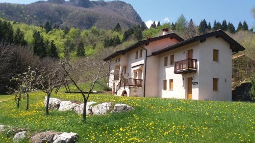 a house on a hill with a field of flowers at Le Farfalle - un angolo di quiete GREEN a Laghi in provincia di Vicenza in Stalle Comparetti