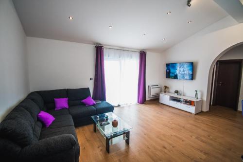 TV a/nebo společenská místnost v ubytování Apartman Adagio