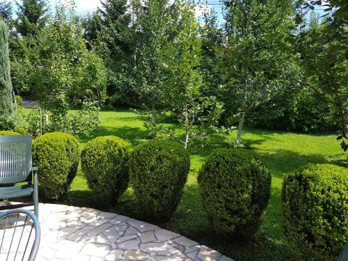 a garden with hedges and a lawn with a chair at Apartment Paradise Enver in Dubrave Gornje