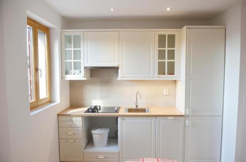 Η κουζίνα ή μικρή κουζίνα στο BUGA apartment in center of Mali Losinj