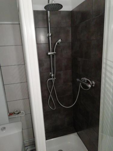 une douche avec un tuyau dans une salle de bain dans l'établissement appartement de la place, à Dieppe