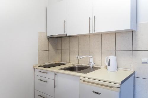 Kuchyň nebo kuchyňský kout v ubytování Villa Suzana