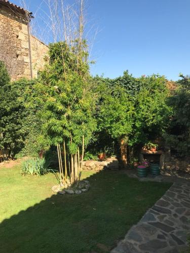 a garden with a small tree and some bushes at Casa Rural Donatila in Villasbuenas de Gata