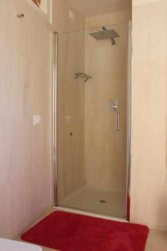 a shower with a glass door with a red rug at Dimora di Charme Cassaro 168 in Marsala
