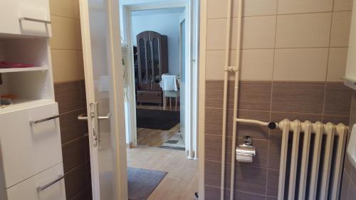 baño con ducha y puerta de cristal en Apartment Zenica, en Zenica