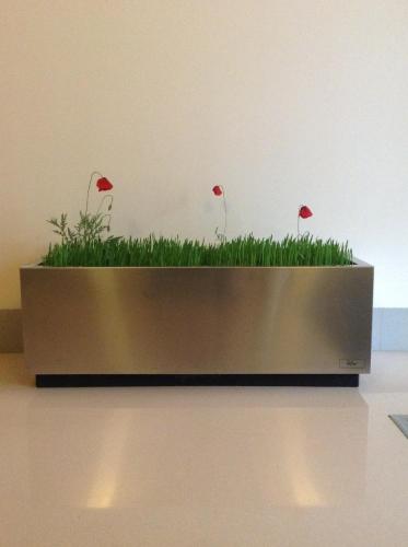 a planter with grass and red flowers on a wall at Hotel Central in Valdepeñas