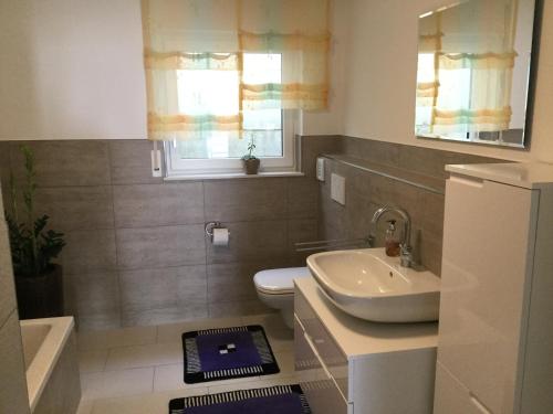 baño con lavabo y aseo y ventana en Apartment Am Etzelbach, en Balingen