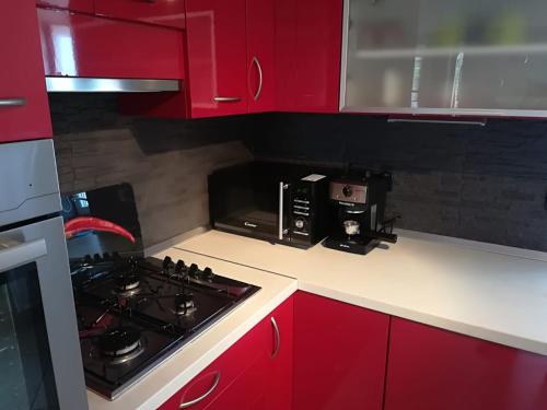 Η κουζίνα ή μικρή κουζίνα στο Apartment Chuck