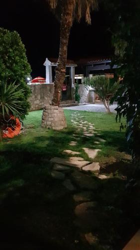 a palm tree in a yard at night at Loft Infinity in Petrovac na Moru