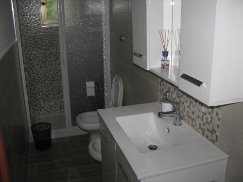 uma casa de banho com um lavatório, um WC e um chuveiro em GranSasso Dream House em Carapelle Calvisio