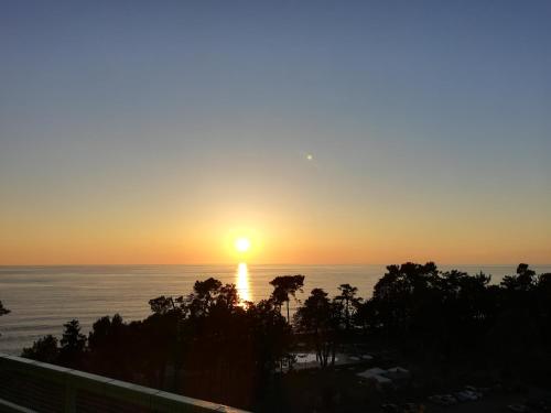 a sunset over the ocean with trees in the foreground at Apartment Alex II in K'obulet'i