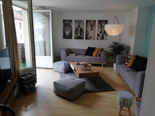 a living room with two couches and a tv at Le Centrale in Gérardmer