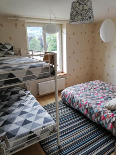 une chambre avec deux lits superposés et une fenêtre dans l'établissement Le Centrale, à Gérardmer