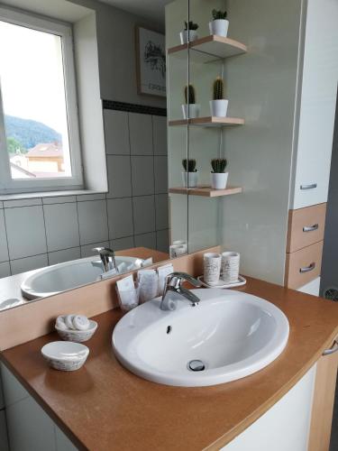 une salle de bain avec un lavabo blanc et un miroir dans l'établissement Le Centrale, à Gérardmer