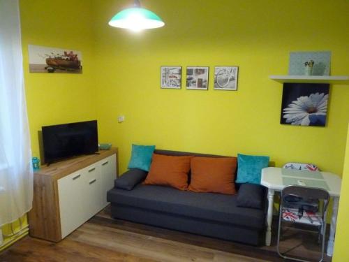 a living room with a couch and a tv at Eper Apartman in Debrecen