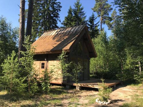 a small house with a roof in the woods at Tahkuna Forest House in Kõrgessaare