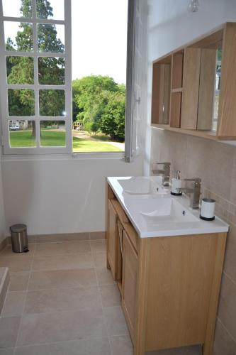 une salle de bain avec un lavabo et une fenêtre dans l'établissement Château de Saint Ouen les Vignes, à Saint-Ouen-les-Vignes
