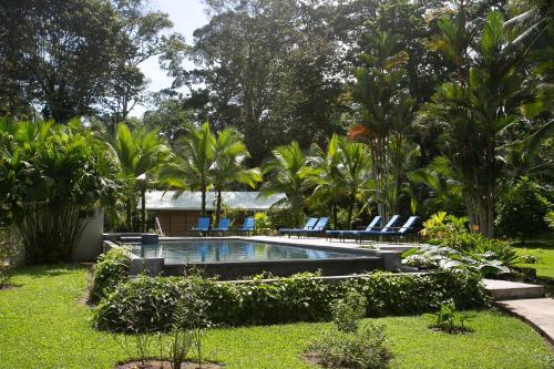 a swimming pool in a yard with chairs and trees at Passion Fruit Lodge in Cahuita