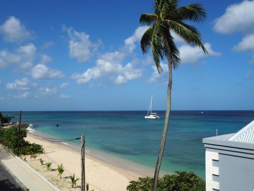 a beach with a palm tree and a boat in the water at Carib Edge, AC beach penthouse in Saint Peter