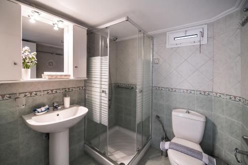 a bathroom with a shower and a toilet and a sink at Villa Amolena in Kariá