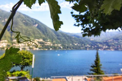 a view of a lake with a mountain at Hotel Bersagliere in Laglio