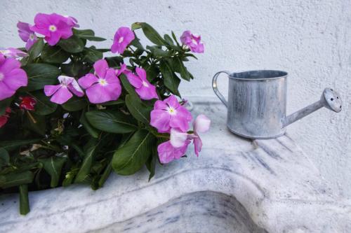 a metal cup sitting next to pink flowers on a wall at Hotel Bersagliere in Laglio