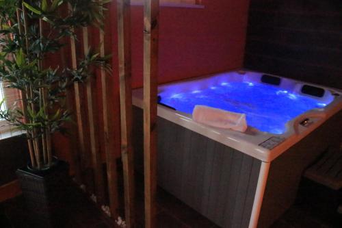 a hot tub with blue water in a room at Quinta Sao Martinho in Reguengo Grande