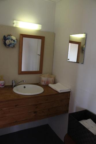 a bathroom with a sink and a mirror at Minamiboso Asian Garden Villa Shirahama in Minamiboso
