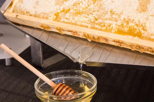 a honey being poured into a cake with a bowl of honey at Best Western Plus CHC Florence in Florence