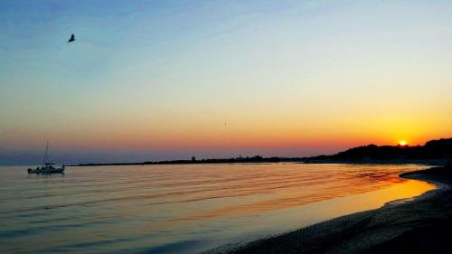 a boat on the water at sunset with a bird at La stanza del paradiso in Torre Pali 