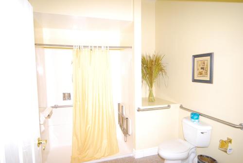 a bathroom with a shower curtain and a toilet at Queen Anne in San Francisco