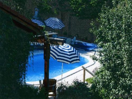 dos sombrillas azules y blancas en una piscina en Pension Landhaus Hochfeld, en Zwiesel