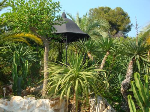 a garden with palm trees and a black building at La Bergerie B&B in Vence