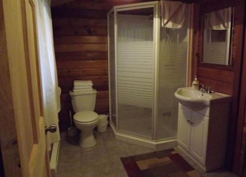 a bathroom with a toilet and a shower and a sink at Cloverleaf Cottages in Oxtongue Lake