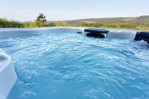 Swimmingpoolen hos eller tæt på The View