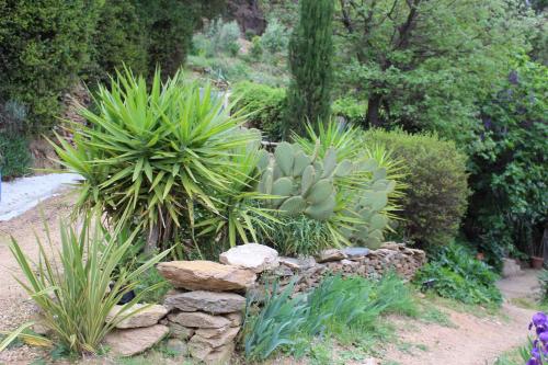 La Maison d'Allouma – Photos 5